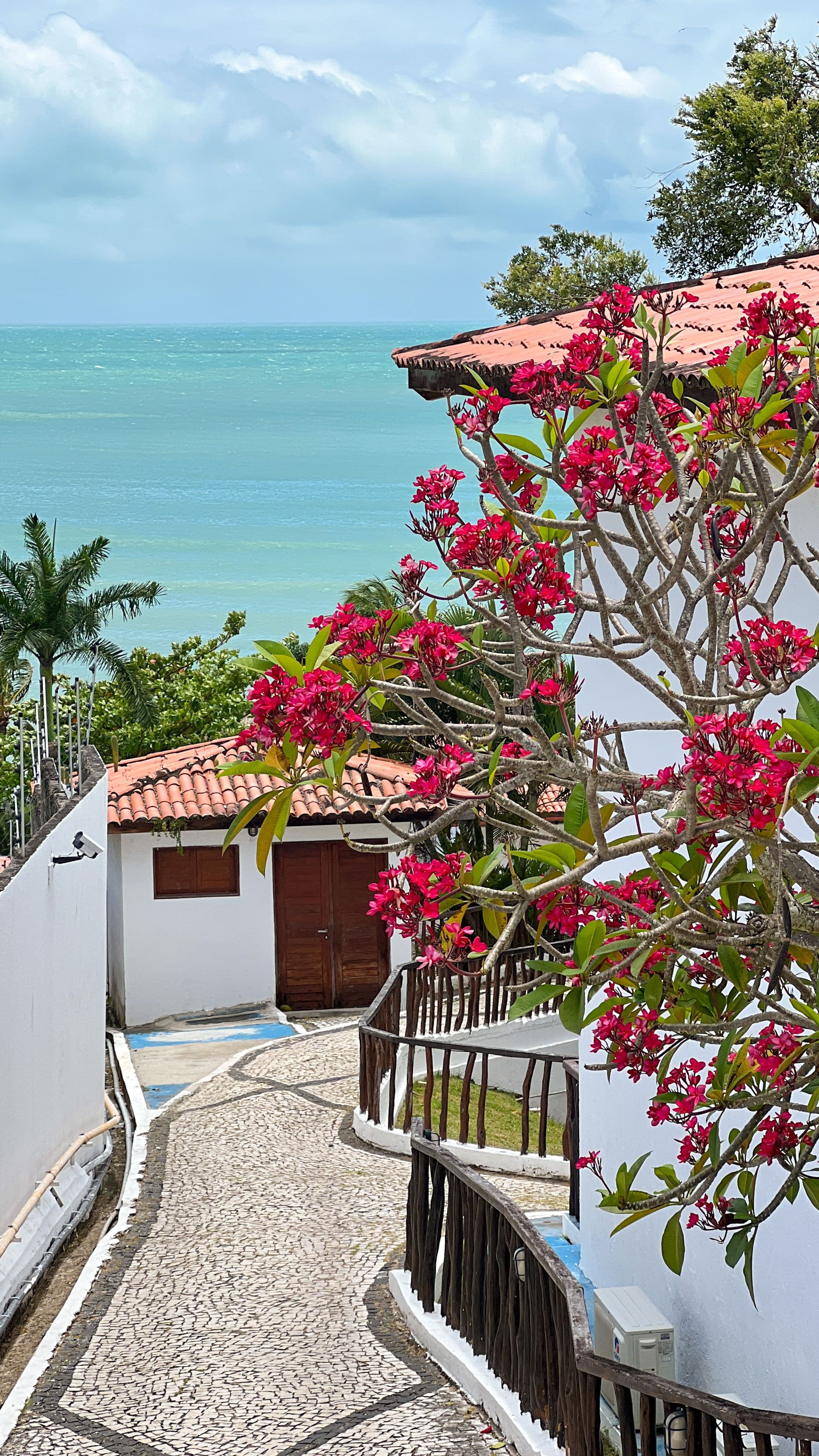 Caminho para o mar