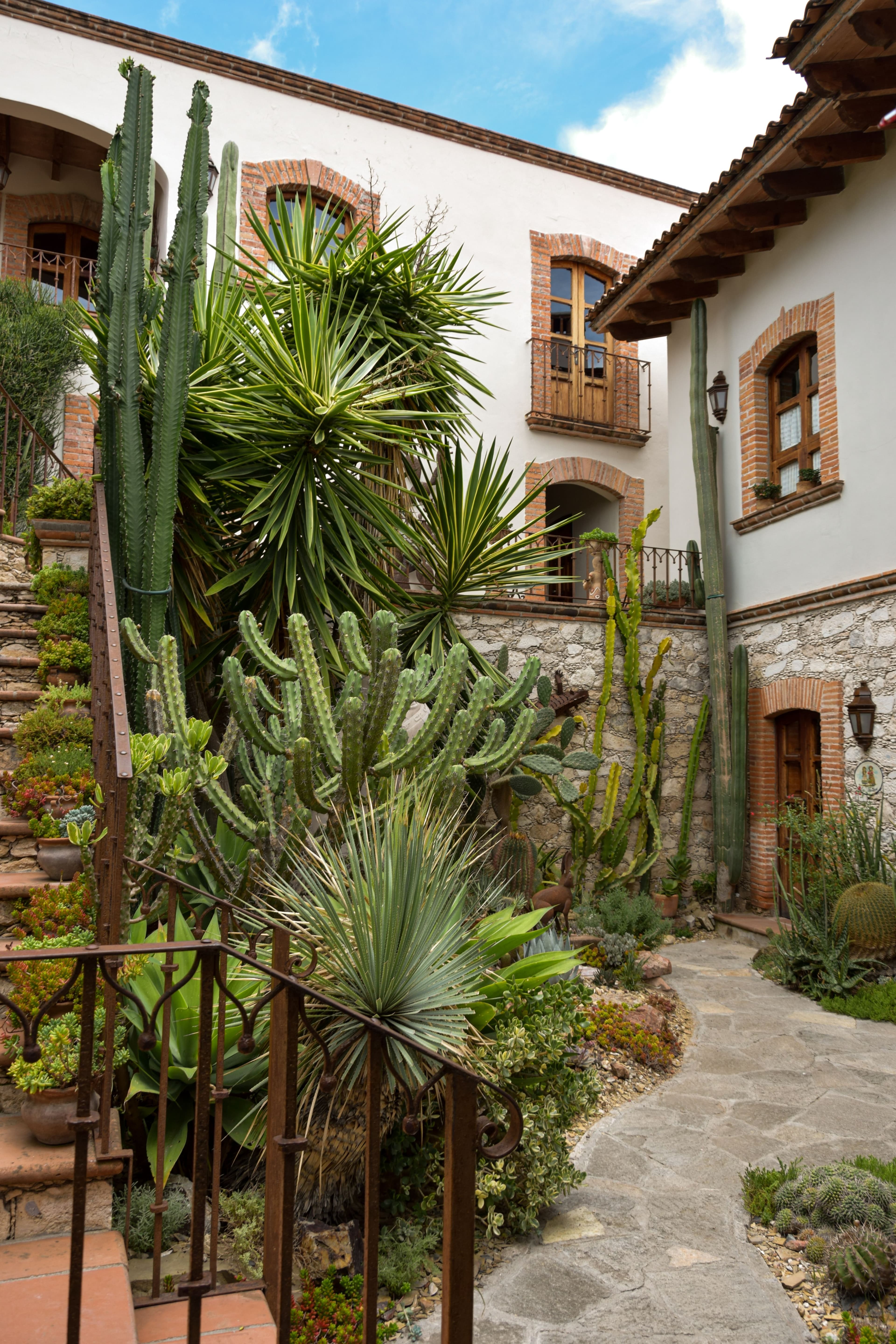 Jardim tropical