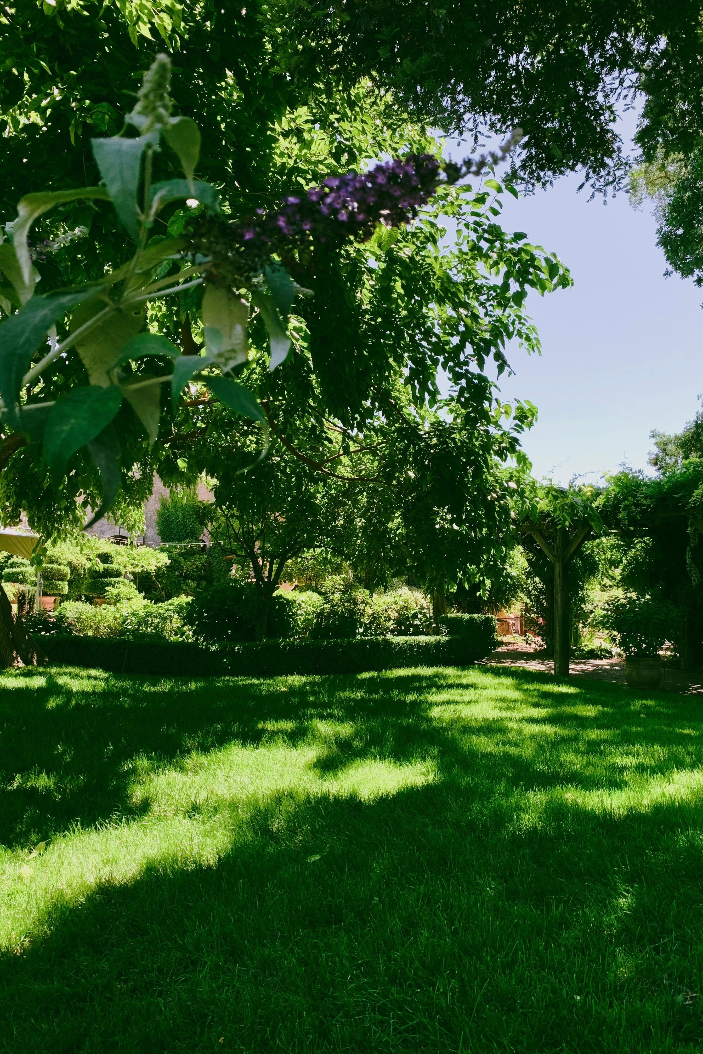 Suíte Jardim
